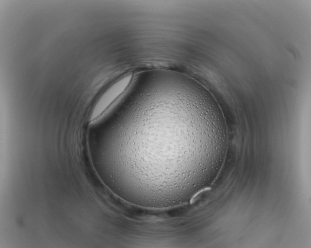 X0000114030548200910091436