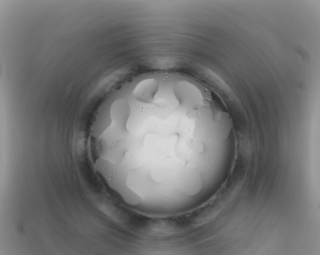 X0000114030549200910091436