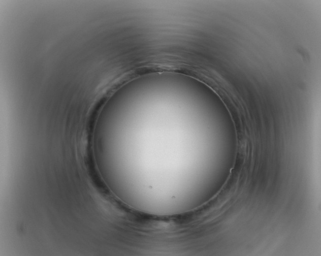 X0000114030552200910091436