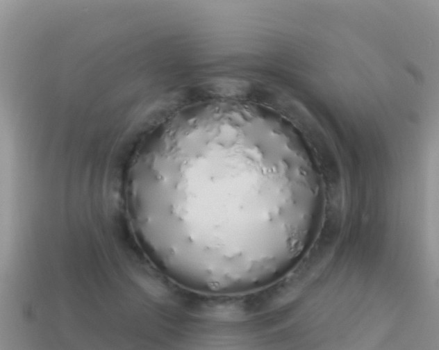 X0000114030553200910091436