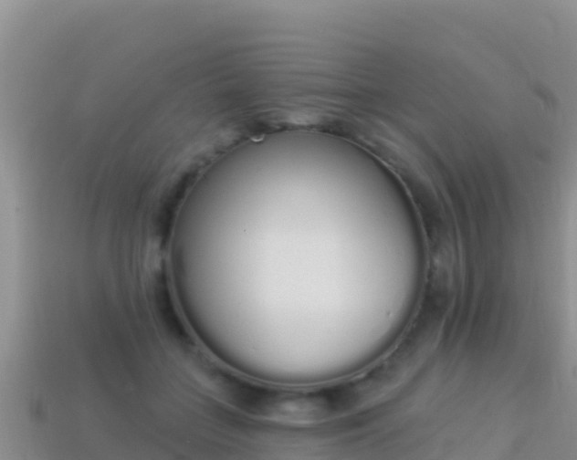 X0000114030555200910091436