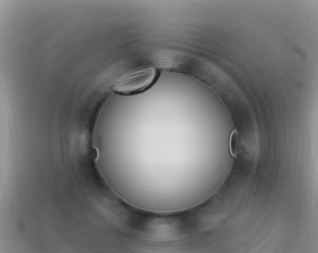 X0000114030556200910091436