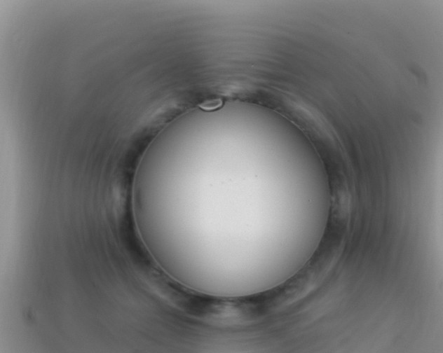 X0000114030558200910091436