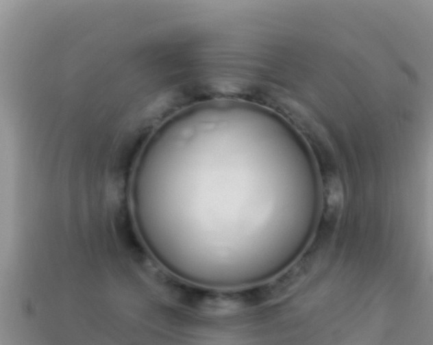 X0000114030559200910091436