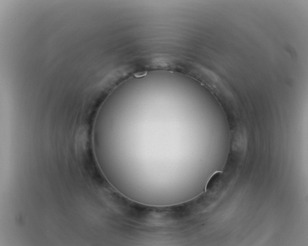 X0000114030560200910091436