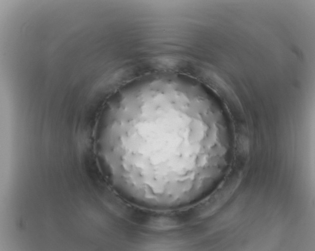 X0000114030561200910091436