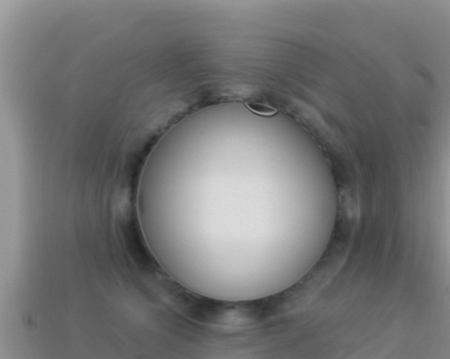 X0000114030564200910091436