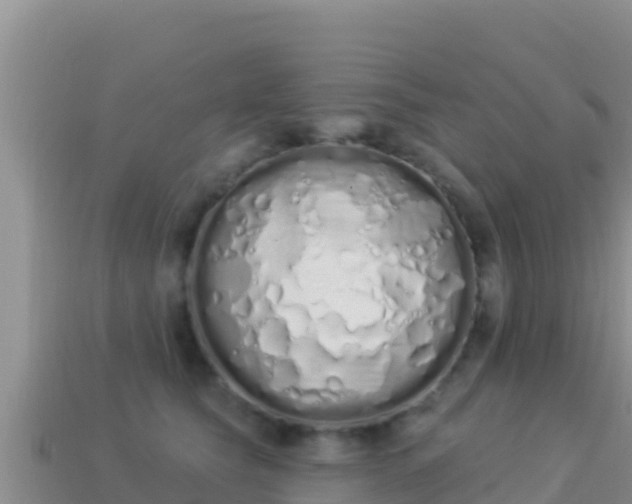 X0000114030565200910091436