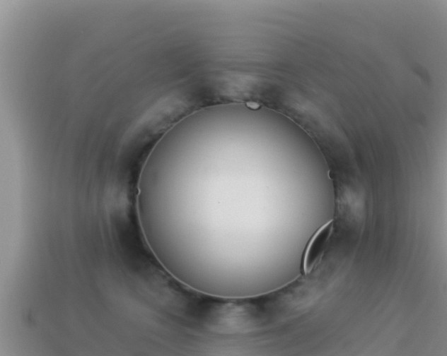 X0000114030566200910091436