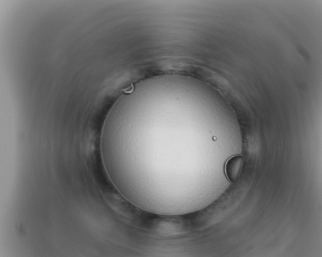 X0000114030567200910091436