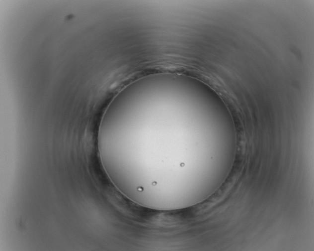 X0000114030568200910091436