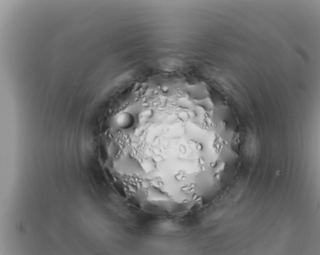 X0000114030569200910091436