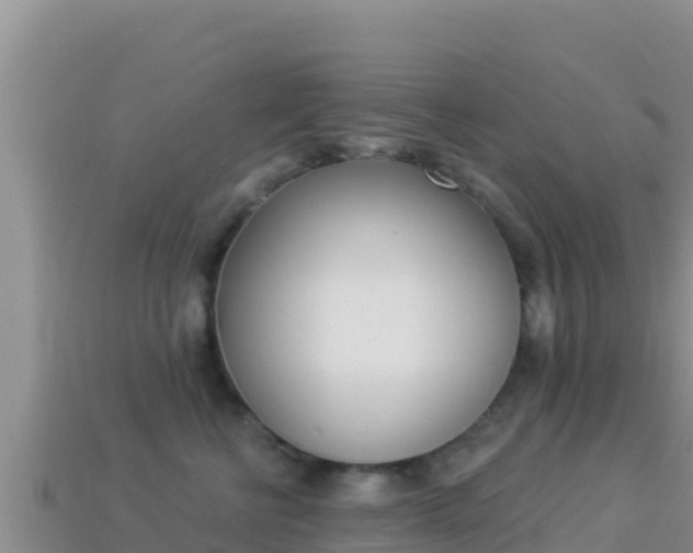 X0000114030570200910091436