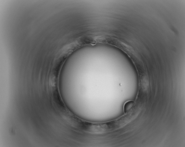 X0000114030571200910091437