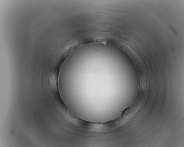 X0000114030575200910091437