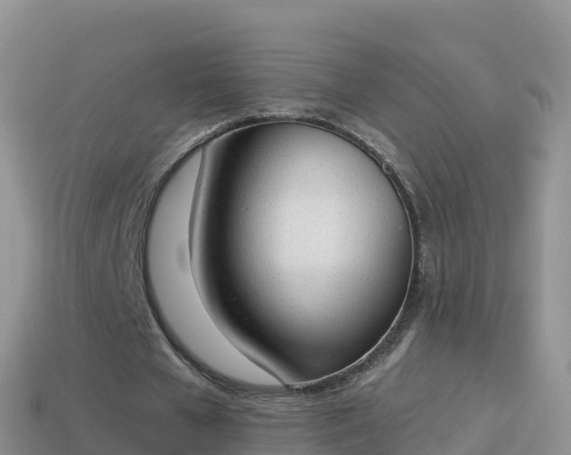 X0000114030577200910091436