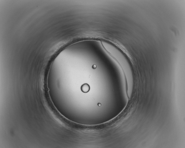 X0000114030581200910091436