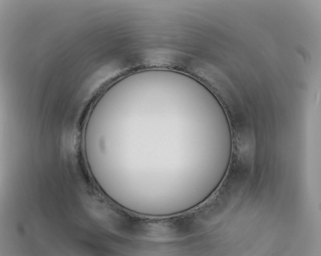 X0000114030583200910091436