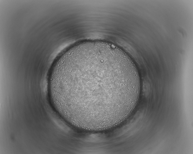 X0000114030584200910091436