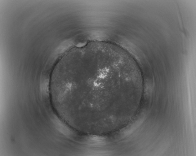 X0000114030585200910091436