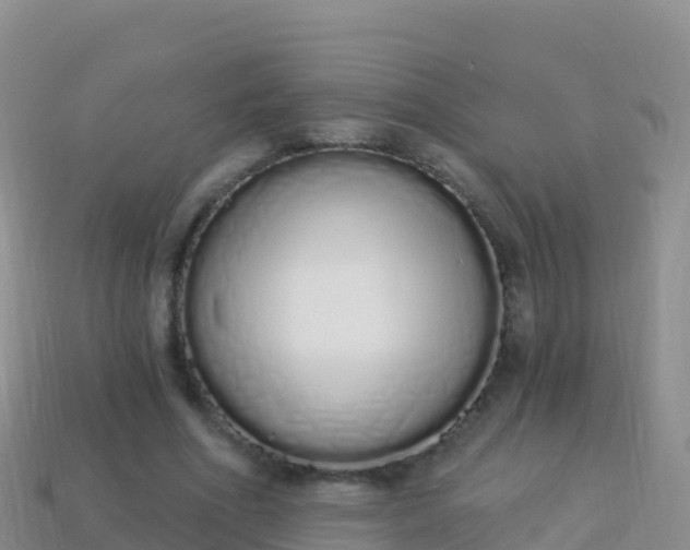 X0000114030586200910091436