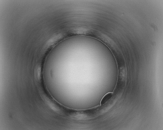 X0000114030589200910091436