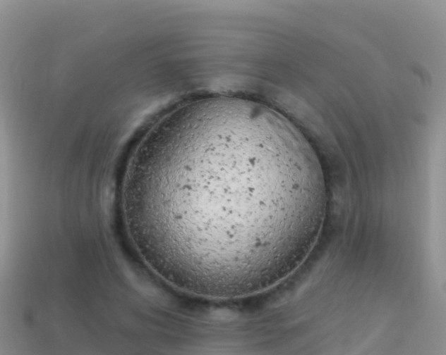 X0000114030592200910091436