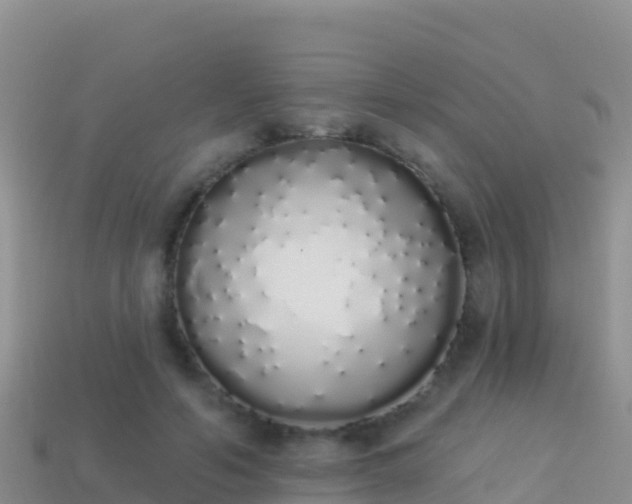 X0000114030594200910091436