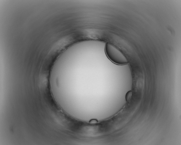 X0000114030595200910091436