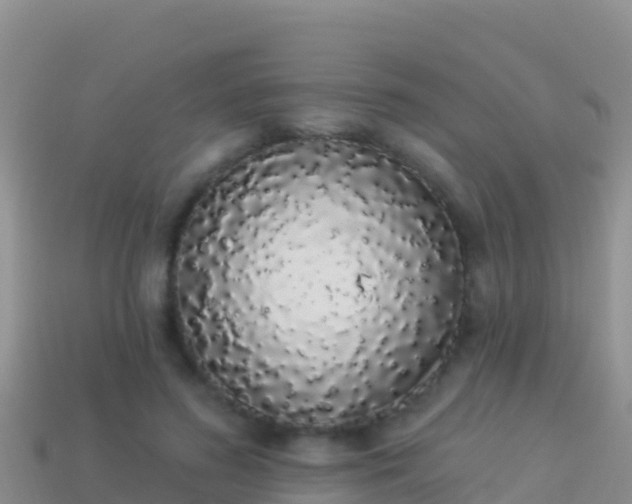 X0000114030596200910091436