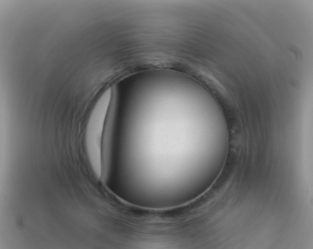 X0000114030597200910091436