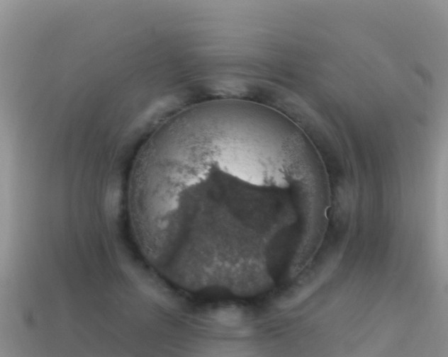 X0000114030600200910091435