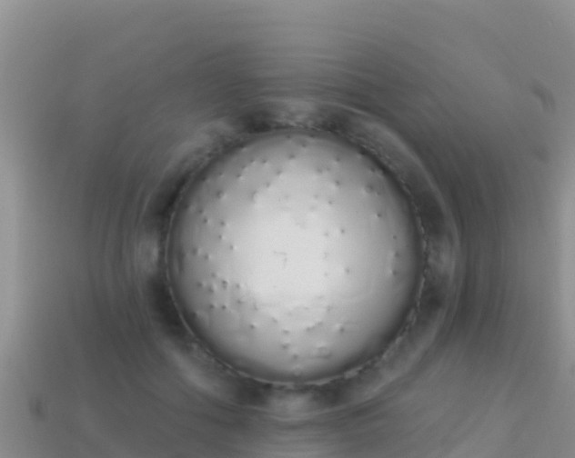 X0000114030602200910091435