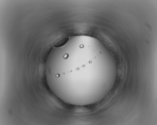 X0000114030605200910091435