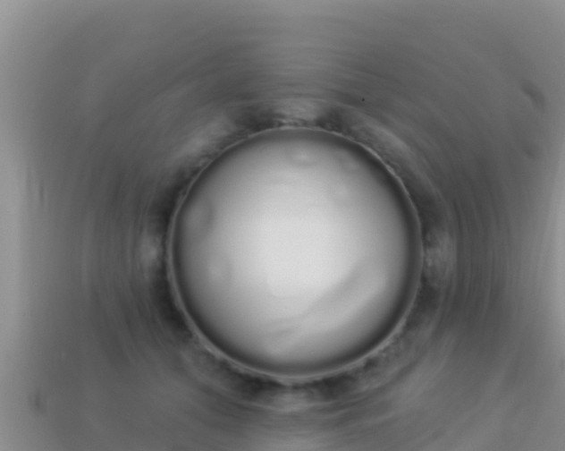 X0000114030608200910091435