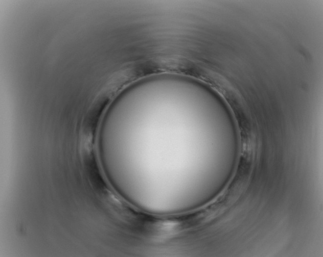 X0000114030610200910091435