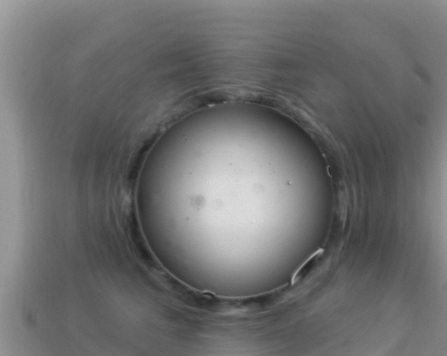 X0000114030613200910091435