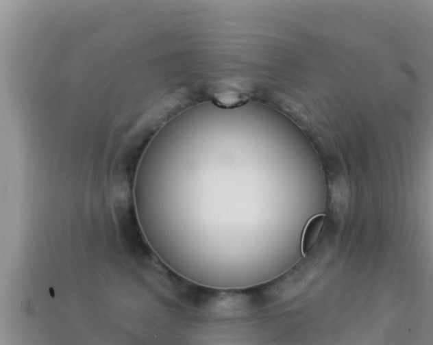 X0000114030617200910091435