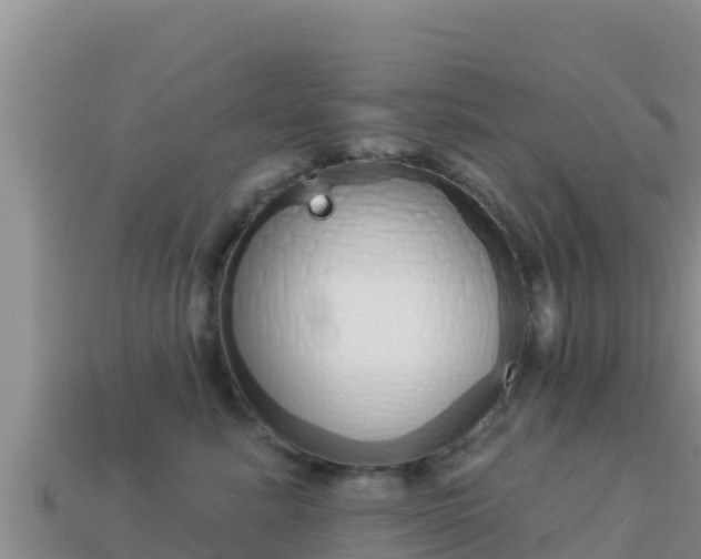 X0000114030619200910091435