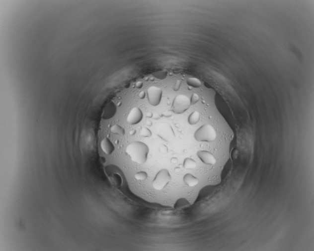 X0000114030622200910091435