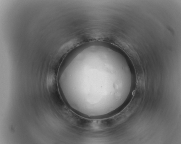 X0000114030623200910091435