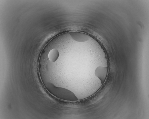 X0000114030625200910091435