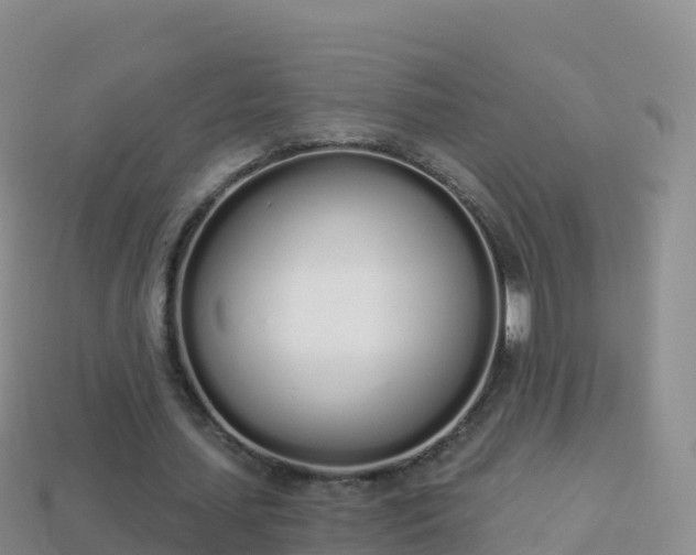 X0000114030627200910091435