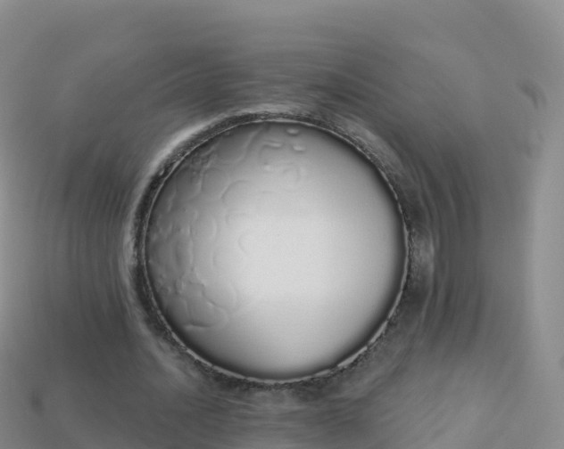 X0000114030628200910091435