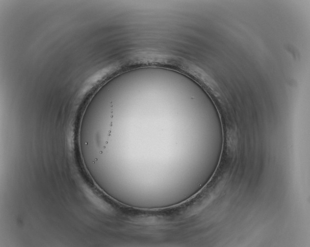 X0000114030629200910091435