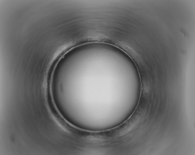 X0000114030630200910091435