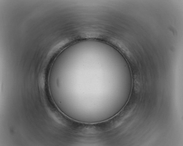 X0000114030631200910091435