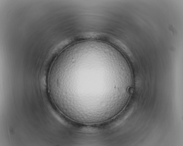 X0000114030633200910091435