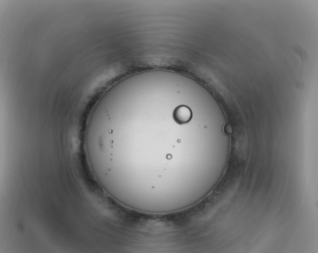 X0000114030635200910091435