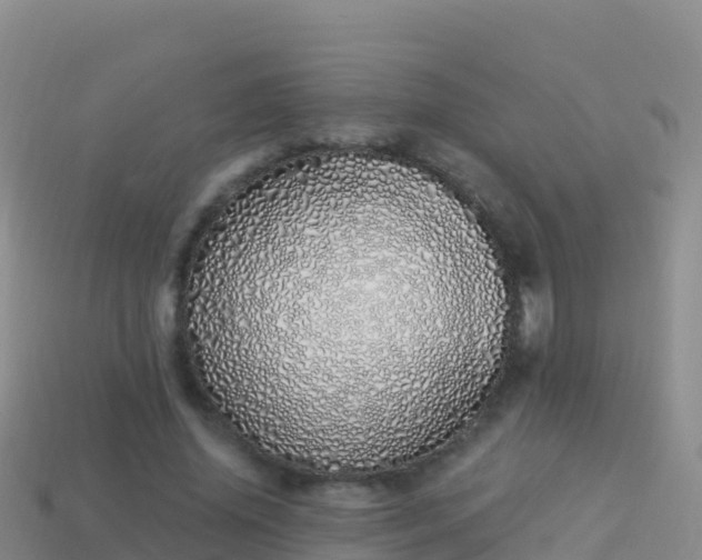 X0000114030636200910091435